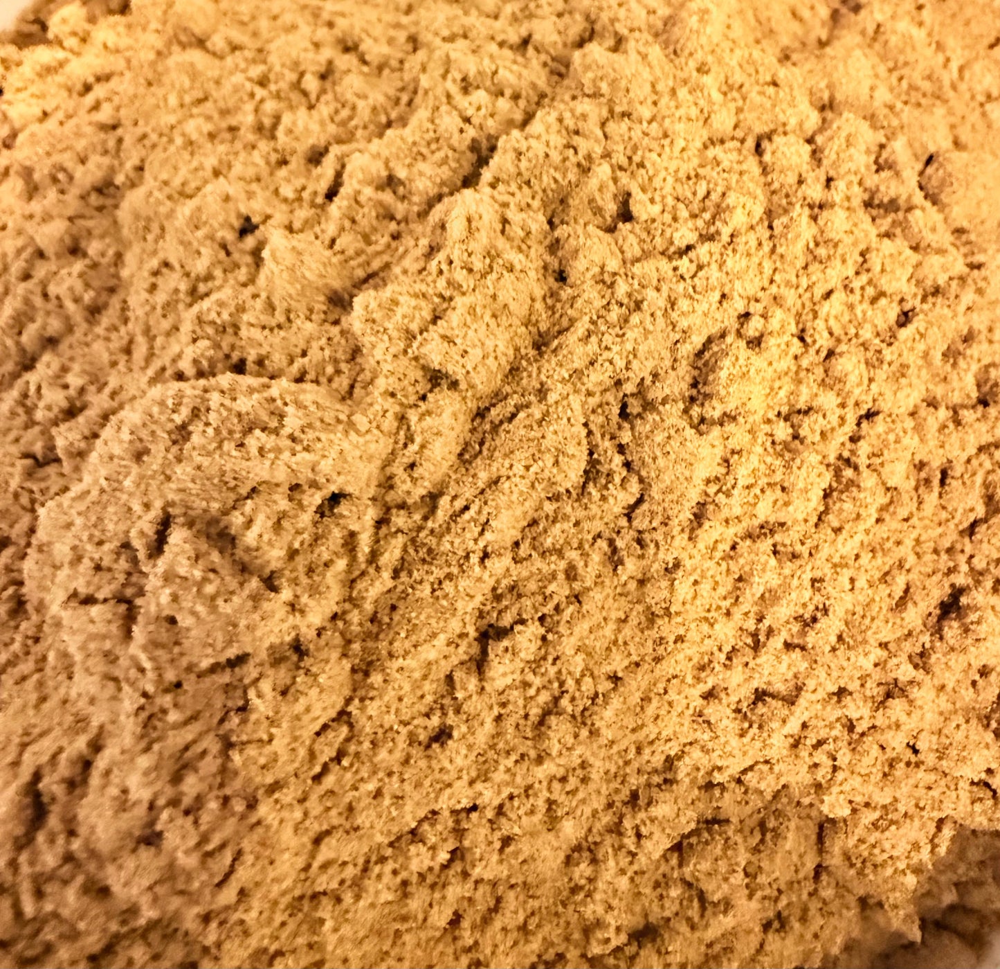 Cloud Forest Green Cardamom
