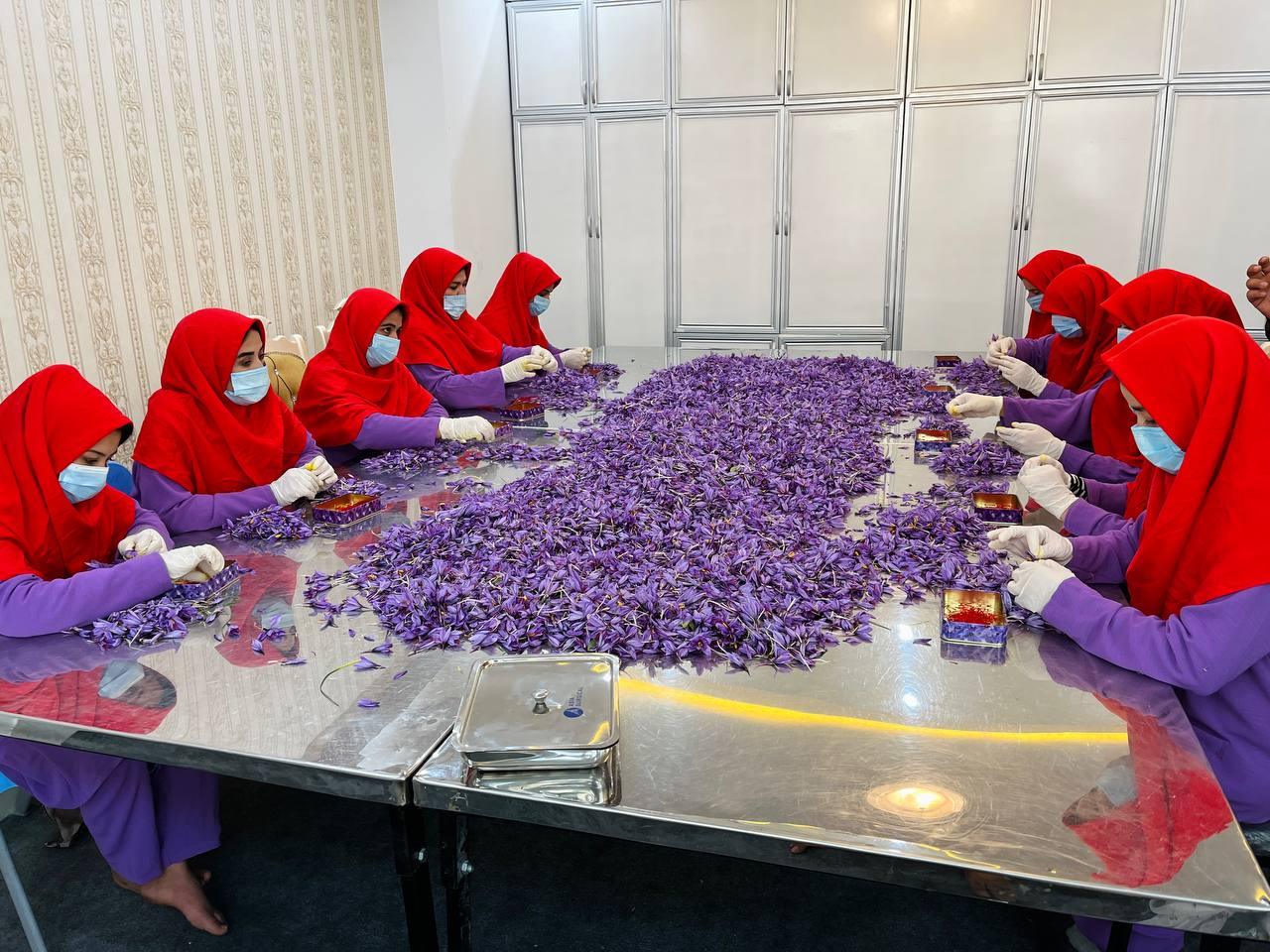 1 Oz (28.5gr) Heray Afghan Saffron Extra Class Premium Super Negin Quality