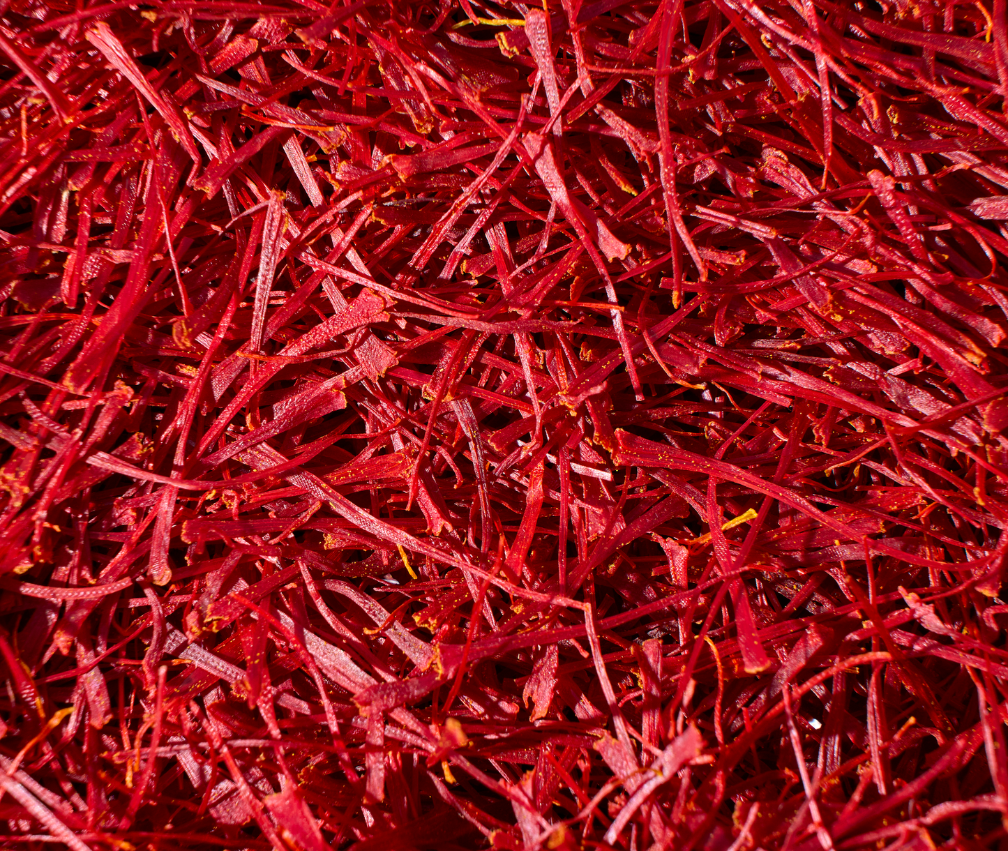 4 Grams (0.14 Oz) Heray Afghan Saffron Extra Class Premium Super Negin Quality