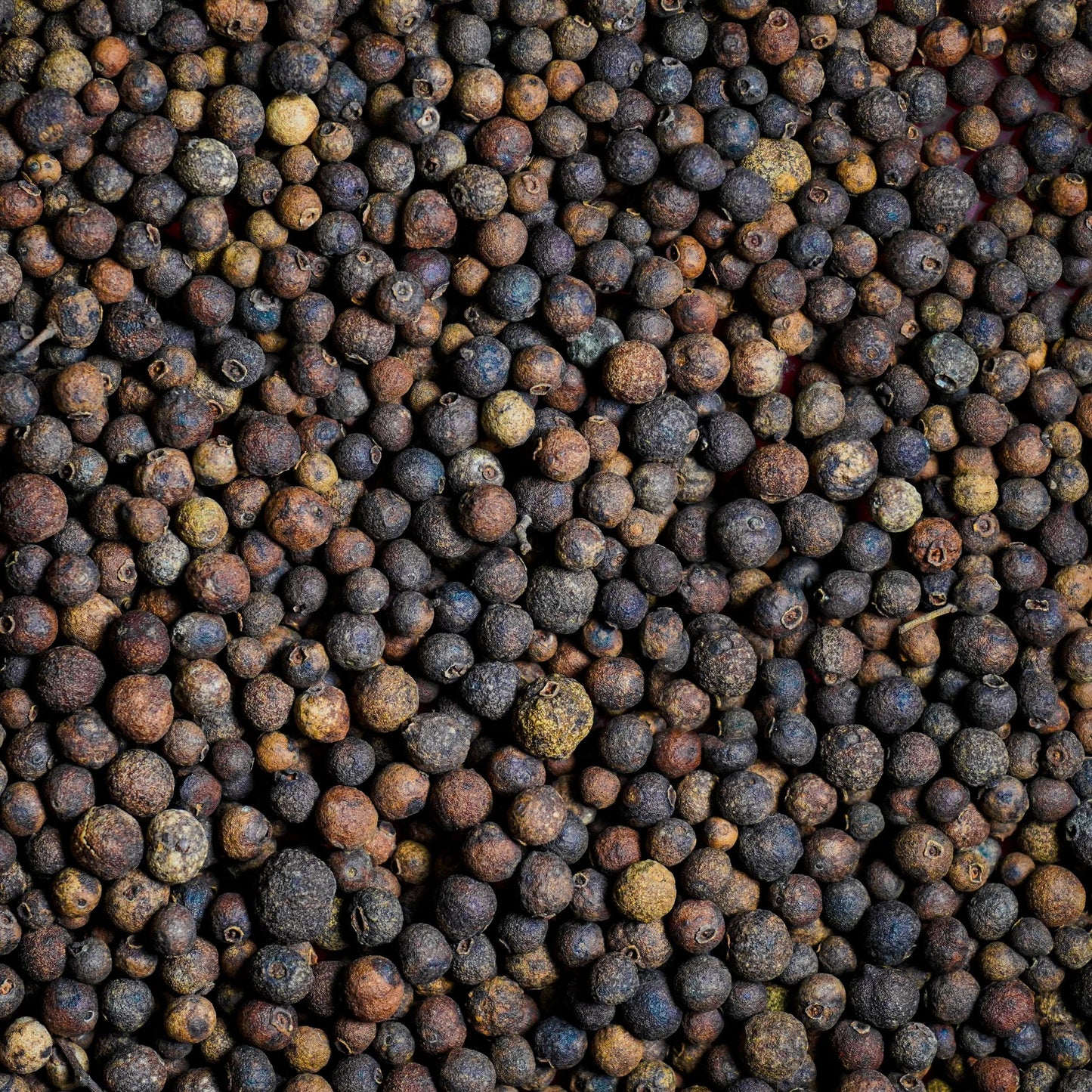 Allspice, AKA Jamaica pepper, Myrtle Pepper, Dried berry of Pimenta Dioica