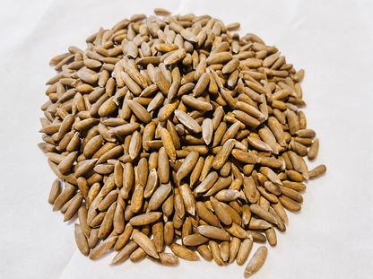 Afghani Chilgozah (Wild In-Shell Pine Nuts)