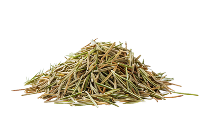 Green Rosemary Needles - Moroccan Harvest