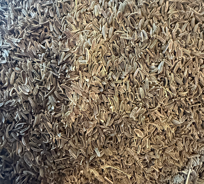 Afghanistan Wild Mountain Cumin